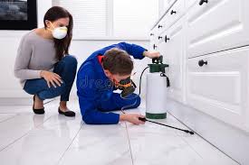 Best Real Estate Pest Inspections  in Keene, NH