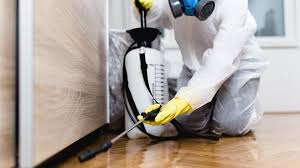 Best Termite Inspection and Treatment  in Keene, NH